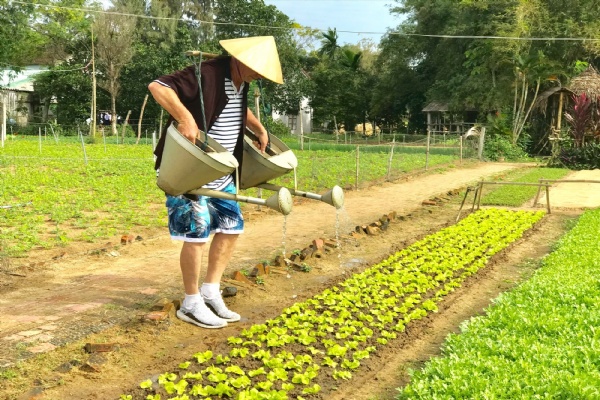 Rural tourism development in Vietnam