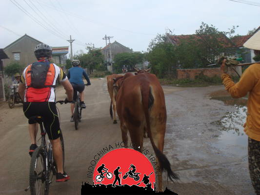 Chau Doc Cycling to Ho Chi Minh City - 3 Days