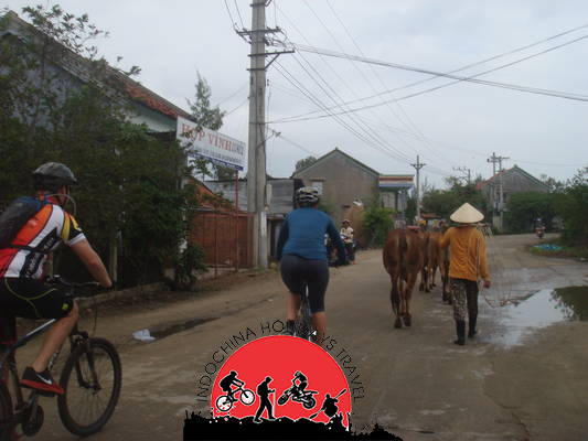 Cycle To Chau Doc - Long An - Can Tho - Tra Vinh - 4 Days 5