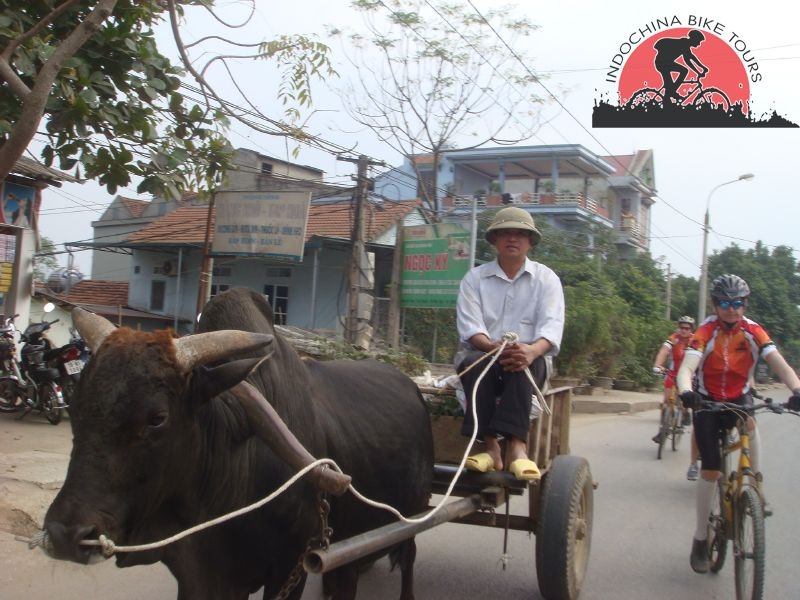 Cycling From Chau Doc Boder To Ho Chi Minh City - 5 Days 3