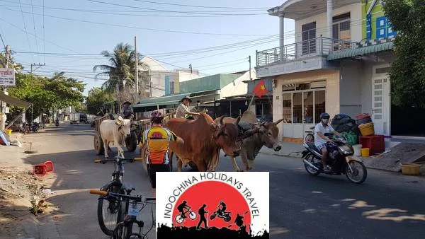 5 Days Saigon Cycling To Phnom Penh