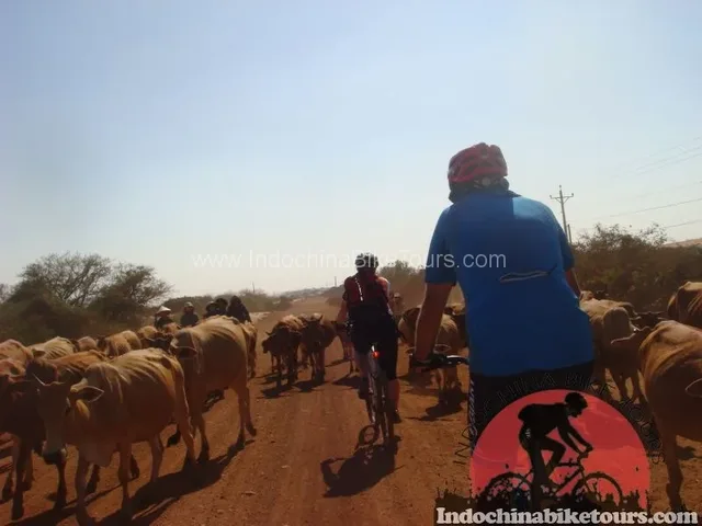 Beautiful Cycling Tour To Ben Tre - Tra Vinh - Can Tho - 3 Days 2