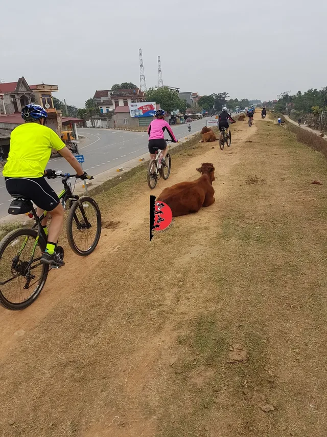 Mekong Delta Cycle Tour - 8 Days 3