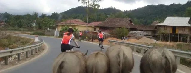 Mekong Delta Cycling Holiday - 4 Days 1