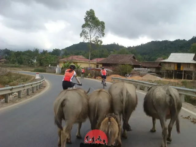 Saigon Cycling To Con Dao Islands - 3 Days 4