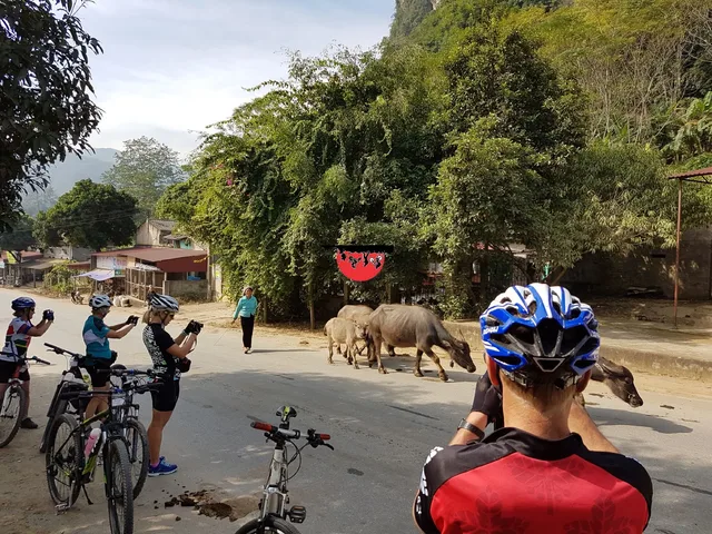 Saigon Cycling To Cu Chi Tunnels - 1 Day 1
